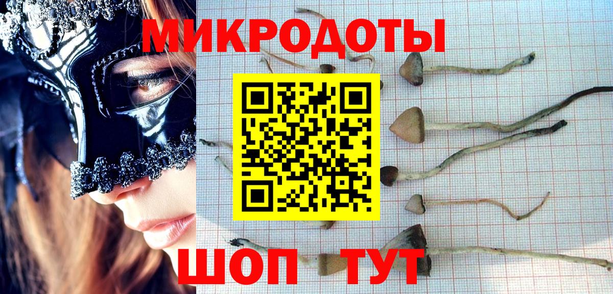 Галлюциногенные грибы Magic Shrooms Новозыбков