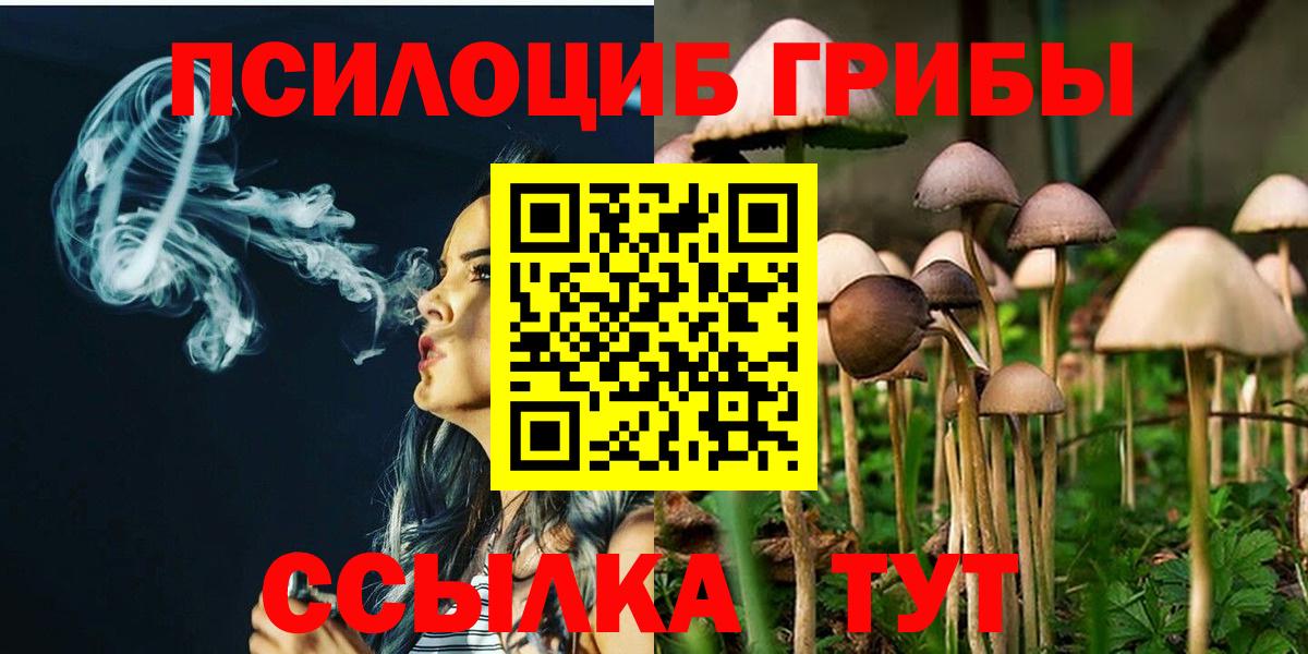 Новозыбков  Псилоцибиновые грибы прущие грибы  Вход с VPN 